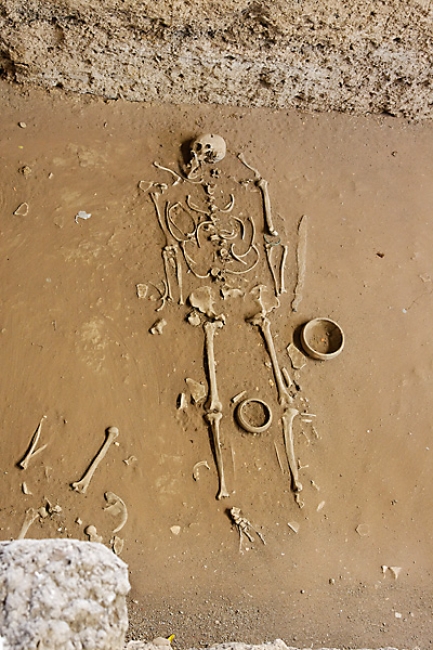 Sithep Excavation-002